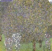 Gustav Klimt Rose Bushes Under the Trees oil on canvas